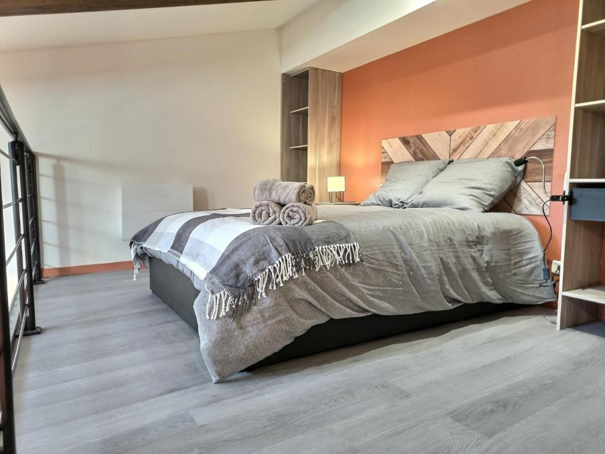 Апартаменти Le Coquelicot - Hyper-Centre - Wifi - Calme Альбі Екстер'єр фото